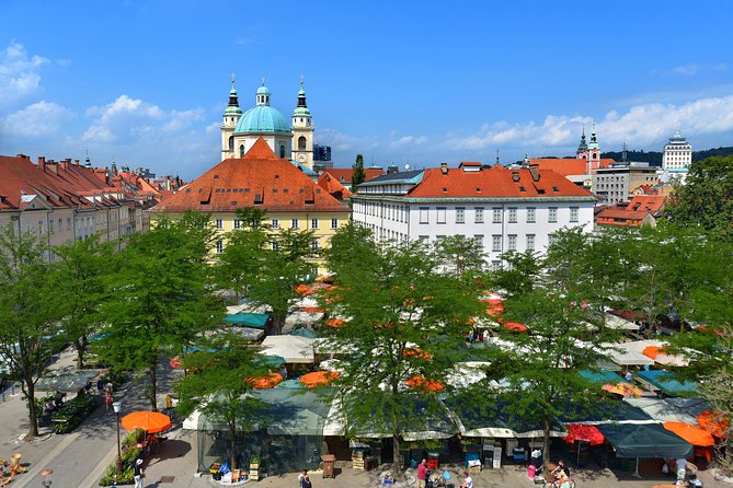 Private Walking Tour of Ljubljana Old Town - Where You Start and How the Tour Ends (Easy, Repeatable Logistics)