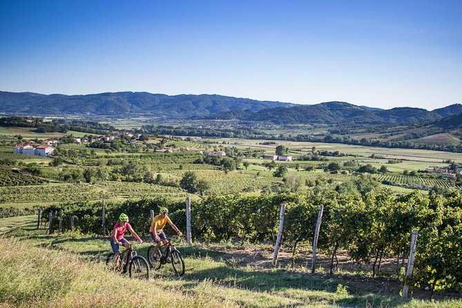 Secret vineyards E-bike tour - Key highlights worth knowing