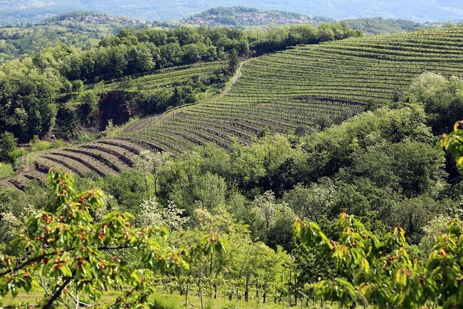 Secret vineyards E-bike tour - Price and value: what $360.03 buys you for 3.5 hours