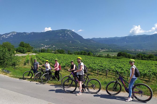 Secret vineyards E-bike tour - When this tour fits best (and when it might not)