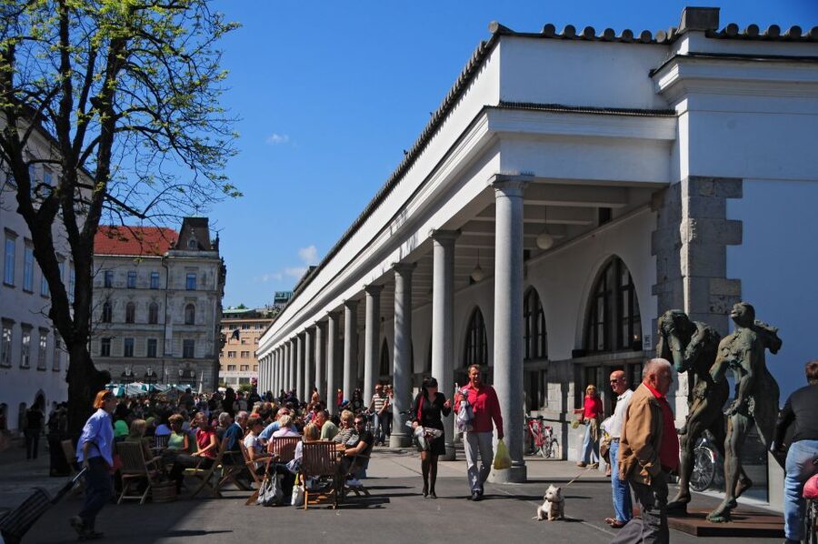 Small Group (Max 6): Ljubljana Hidden Gems Tour from Koper - Riverbanks first: why the walk sets the tone