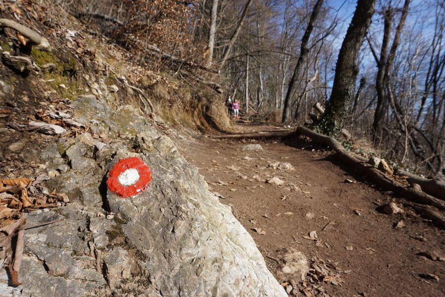 Šmarna Gora: Hiking and Food Tour from Ljubljana - What difficulty level should you expect?