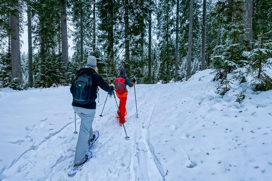 Snowshoeing in Triglav National Park - Quiet Winter Tranquility in Triglav National Park
