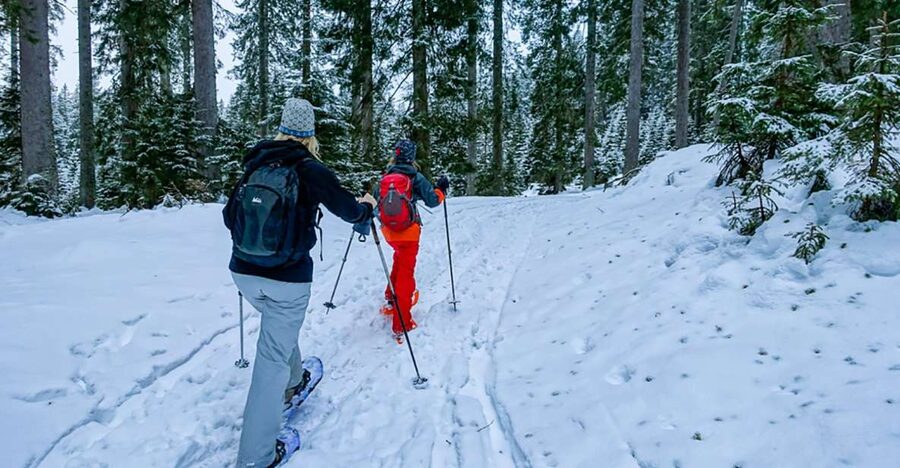 Snowshoeing in Triglav National Park - How the Warm Van and Local Guide Sets You Up