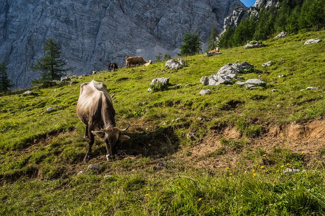 Triglav tour in 2 days Slovenia - Transfers From Bled: The Part You Usually Don’t Think About