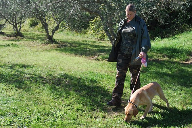 TRUFFLES: Hunting & Tasting in Istria, Slovenia - Truffle Hunting in Slovenian Istria’s Evening Forest