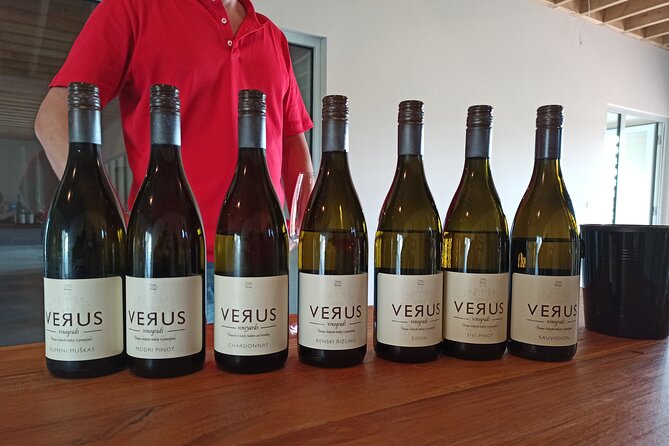Wine and Culinary Adventure in Jeruzalem - Full Day Tour from Ljubljana or Ptuj - Pickup, Timing, and Getting Everyone to the Same Page