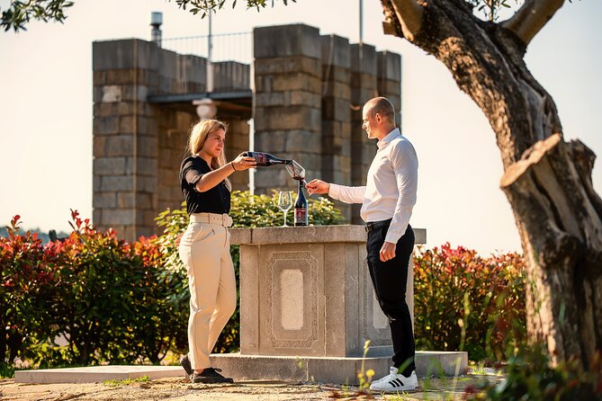Wine Degustation in the Heart of Slovenian Istria - Key highlights worth planning for
