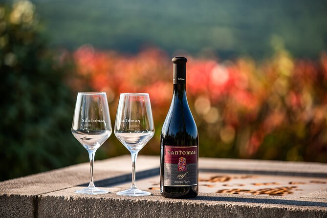 Wine Degustation in the Heart of Slovenian Istria - A sixth-generation family winery, plus their olive mill in the same place