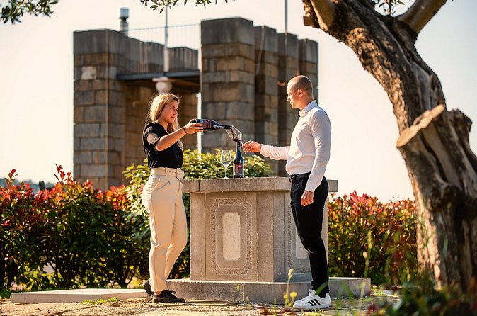 Wine Degustation in the Heart of Slovenian Istria - From vineyard to bottle: symbolism, 1997 philosophy, and modern cellar choices