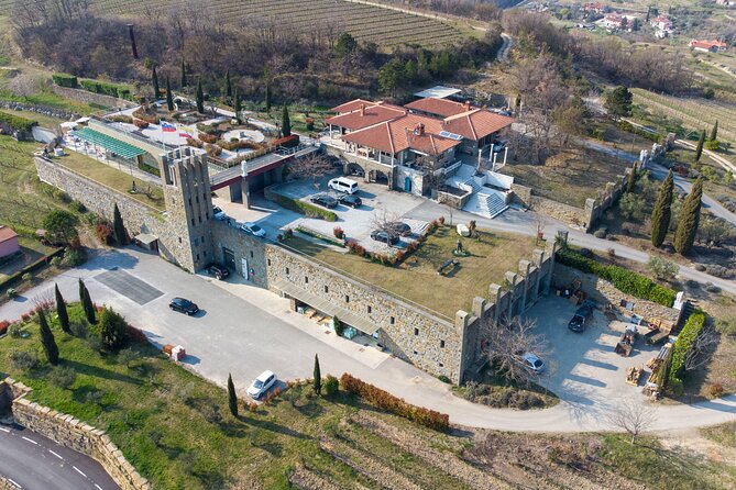 Wine Degustation in the Heart of Slovenian Istria - What you’ll taste: refosco, malvasia, and international bottles