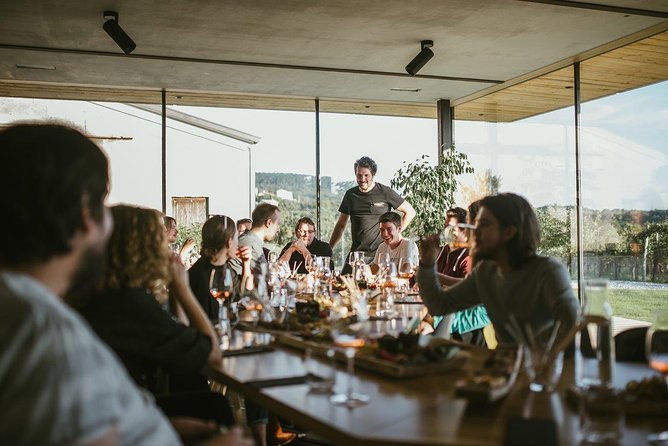 Wine Tasting with Pairing Snacks in Vipava Valley - Key highlights that make this tasting worth your time