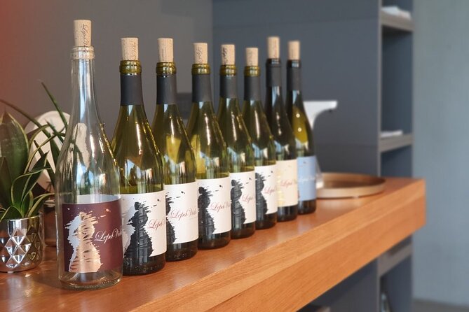 Wine Tasting with Pairing Snacks in Vipava Valley - How the tasting session really works, from 5 wines to 7 and beyond
