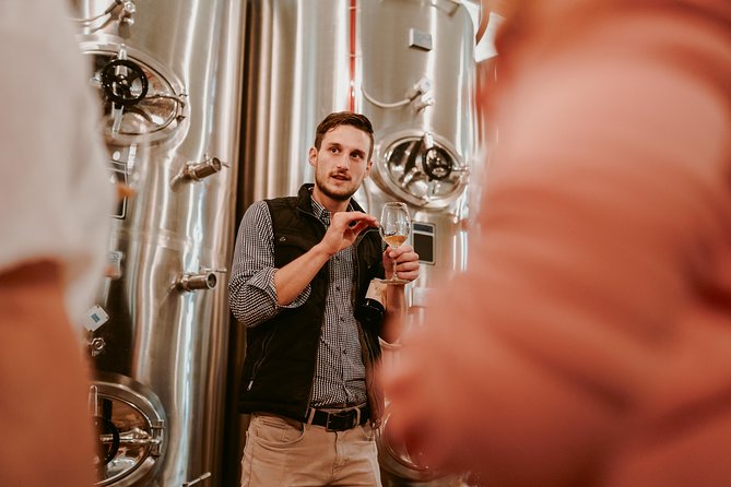 Wine Tours in Slovenia - Who this Ljubljana wine tour suits best