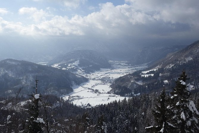Winter Fairytale - Triglav National Park Half Day Trip - Pokljuka snowshoeing: karst chasms, sinkholes, and old glacier clues