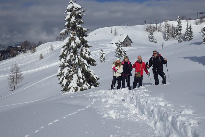 Winter Fairytale - Triglav National Park Half Day Trip - Timing and pacing: how this 7-hour winter plan actually feels